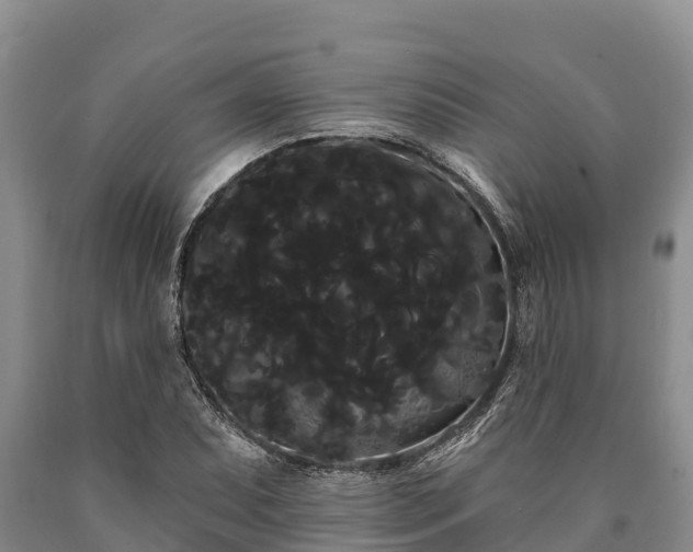 X0000090711071200707271126