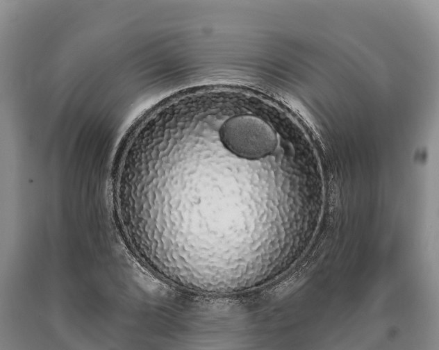 X0000090711072200707271126