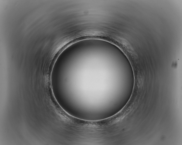 X0000090711073200707271126