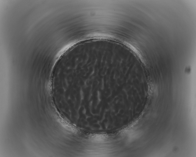 X0000090711074200707271126