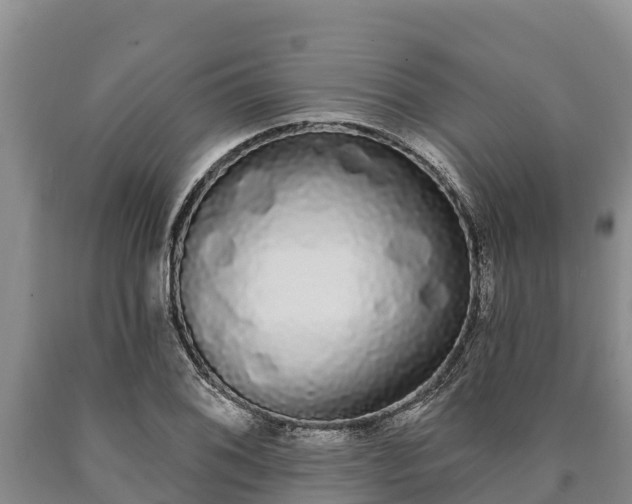 X0000090711076200707271126