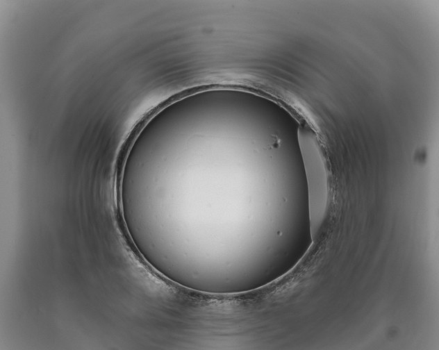 X0000090711080200707271126