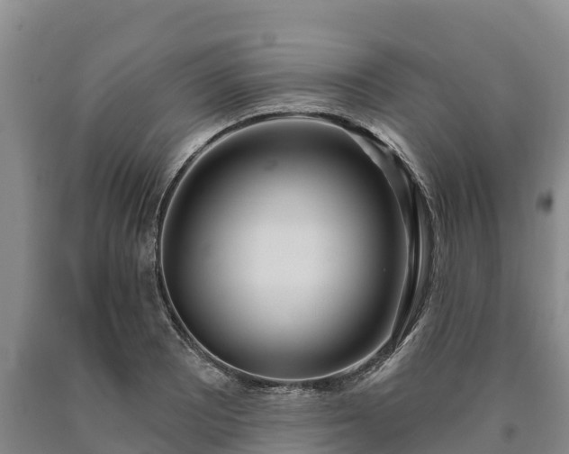 X0000090711081200707271126