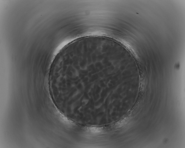 X0000090711086200707271126