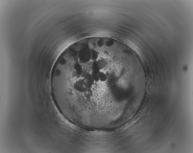 X0000090711087200707271126