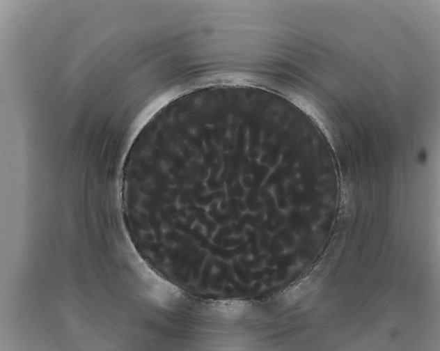 X0000090711090200707271126