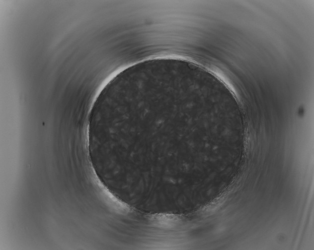 X0000090711092200707271126