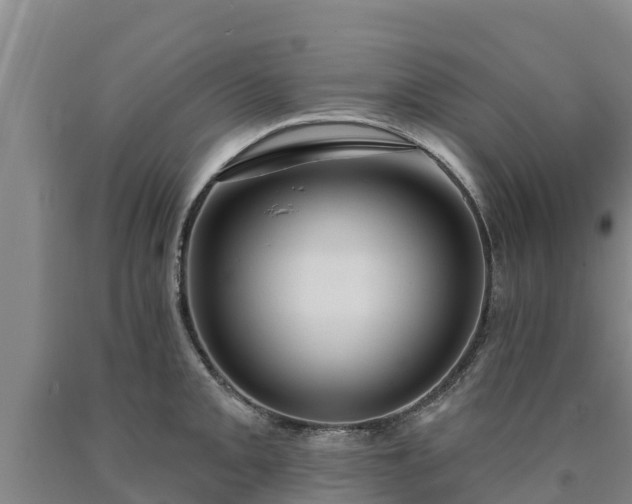 X0000090711093200707271126