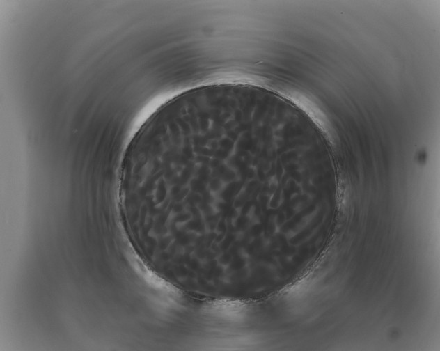 X0000090711094200707271126