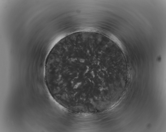 X0000090711095200707271126