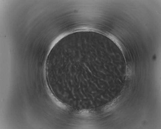 X0000090711098200707271126