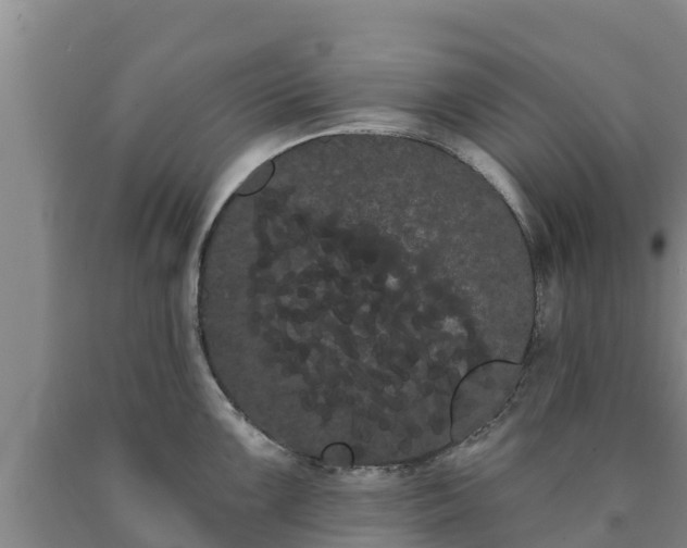 X0000090711099200707271126