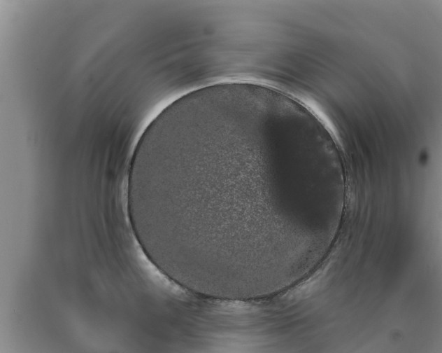 X0000090711100200707271126