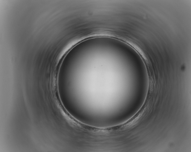 X0000090711101200707271126