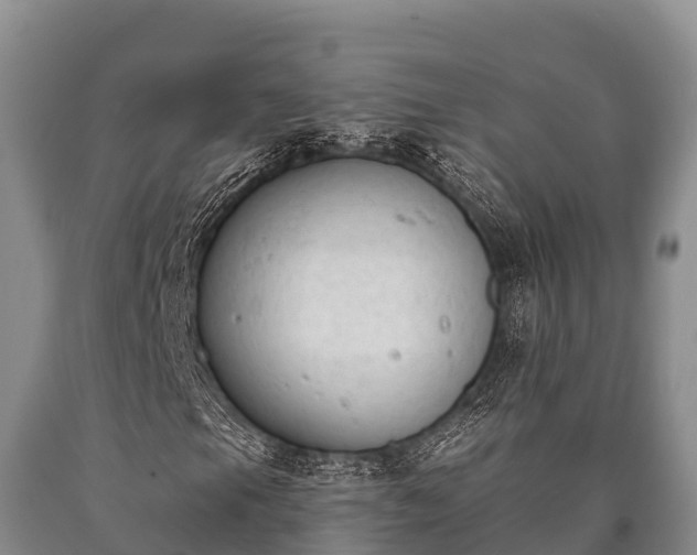 X0000090711105200707271125