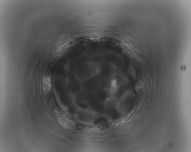 X0000090711106200707271125