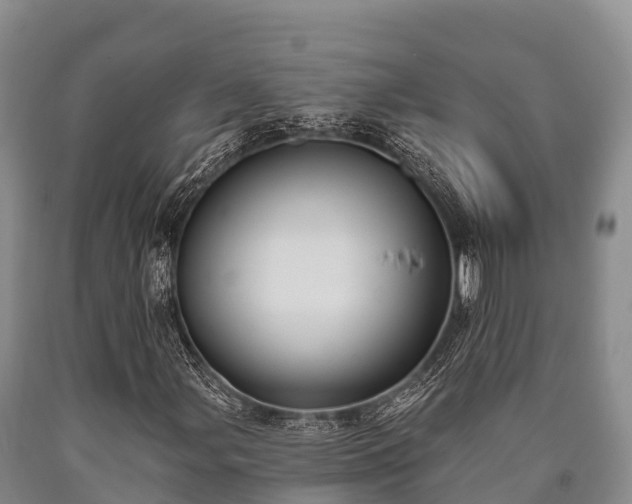 X0000090711107200707271125