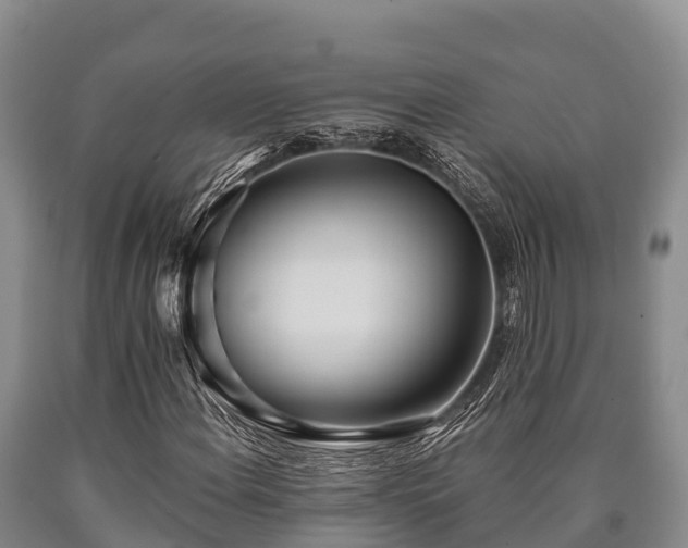 X0000090711108200707271125