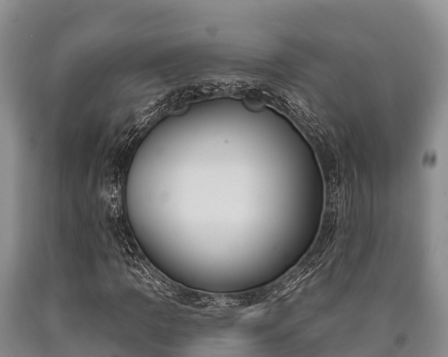 X0000090711109200707271125