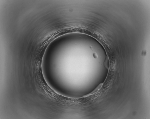 X0000090711110200707271125