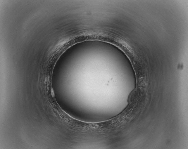 X0000090711111200707271125