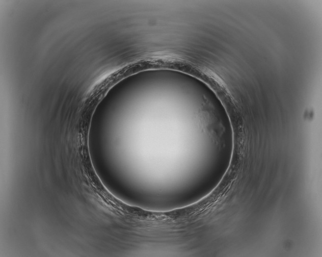 X0000090711112200707271125