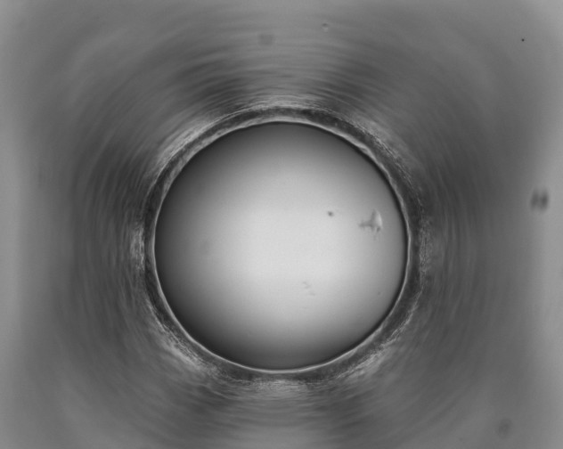 X0000090711113200707271125