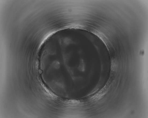 X0000090711115200707271126