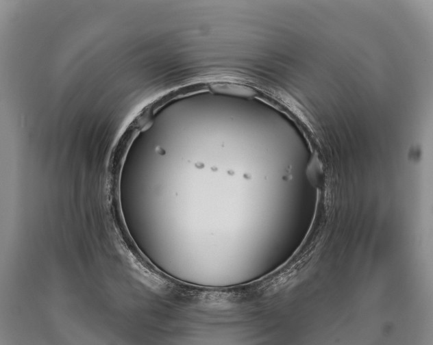 X0000090711116200707271126