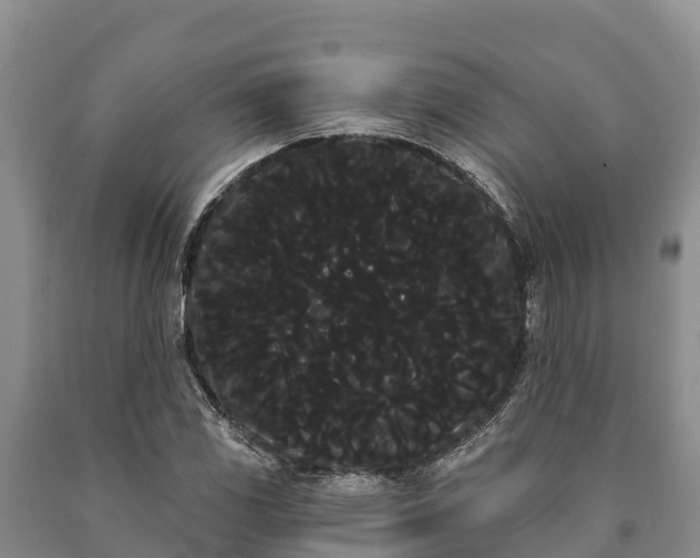 X0000090711117200707271126