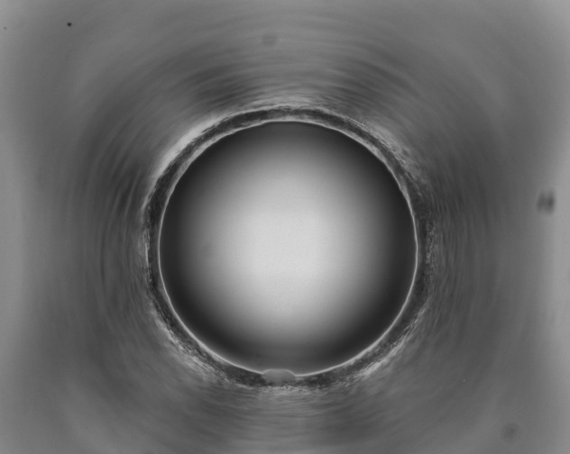 X0000090711118200707271126