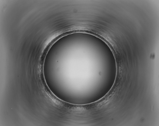 X0000090711119200707271126