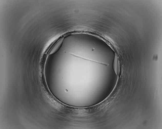 X0000090711120200707271126