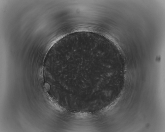 X0000090711121200707271126