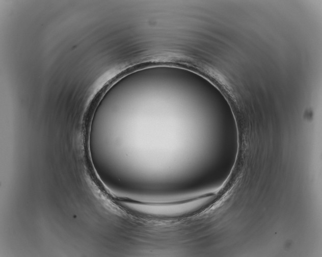 X0000090711122200707271126