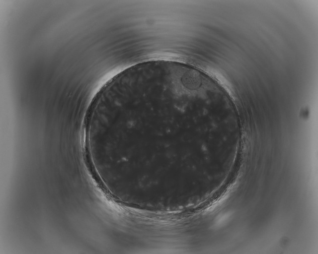 X0000090711125200707271126