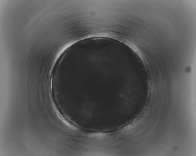 X0000090711127200707271126