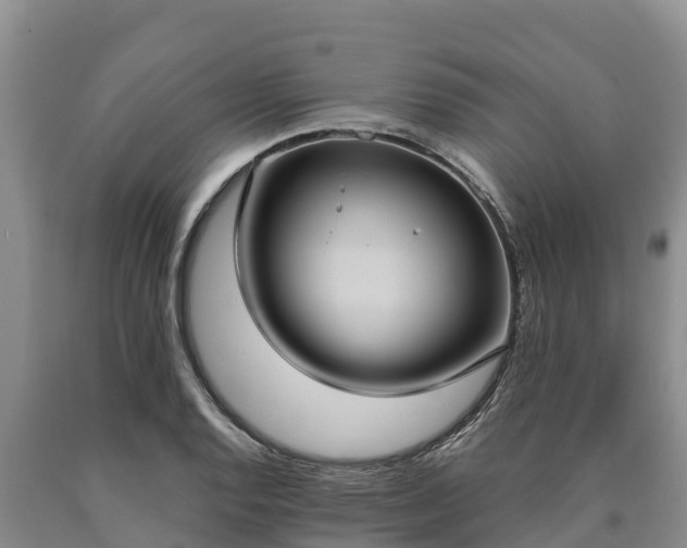 X0000090711128200707271126