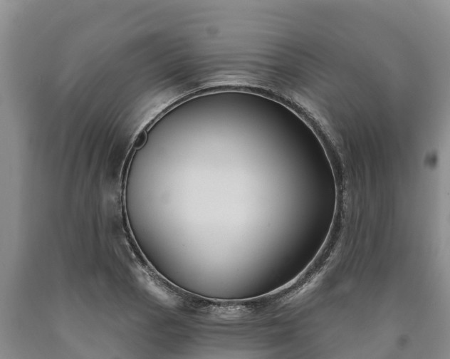 X0000090711129200707271126