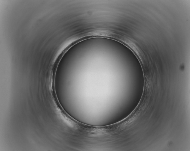 X0000090711131200707271126