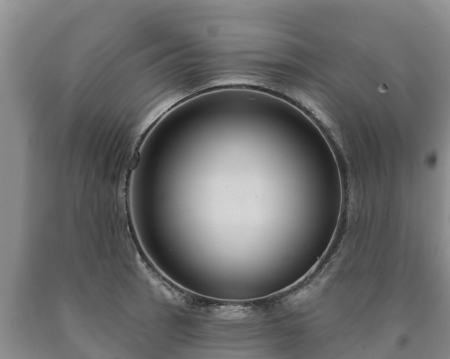 X0000090711137200707271126