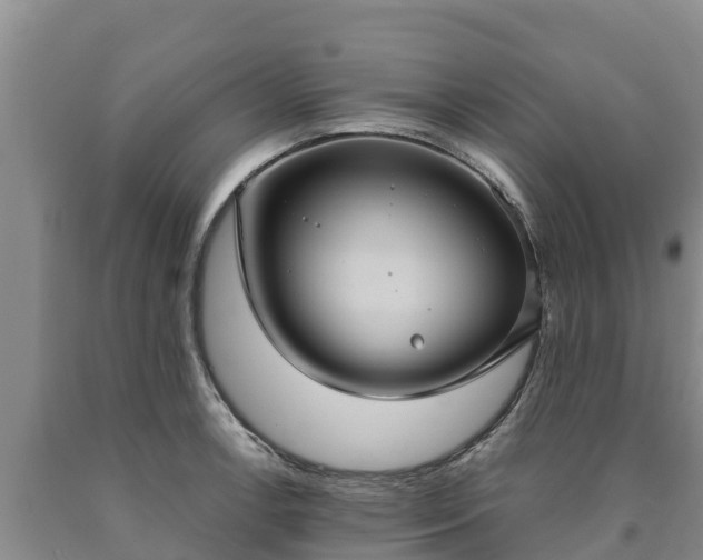 X0000090711138200707271126