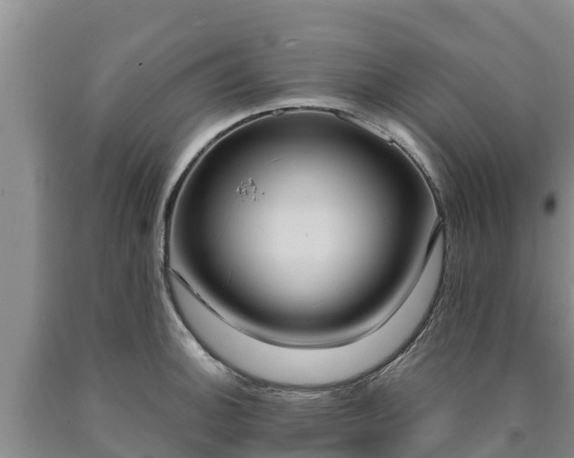 X0000090711140200707271126