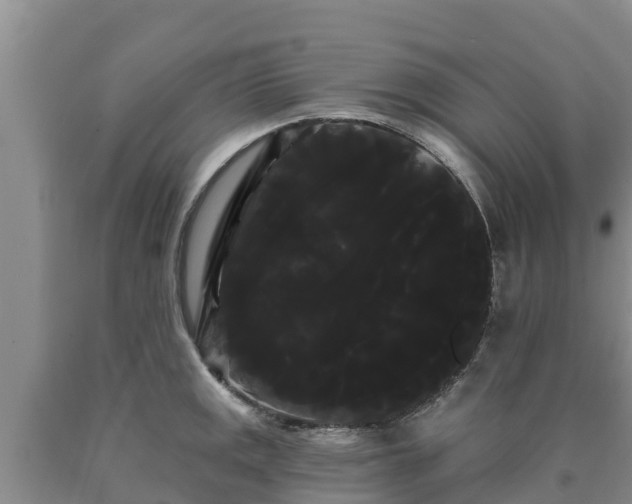 X0000090711141200707271126