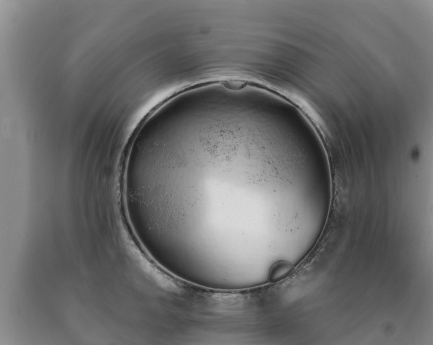 X0000090711142200707271126