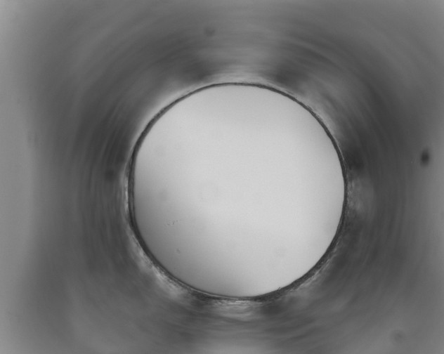 X0000090711150200707271126