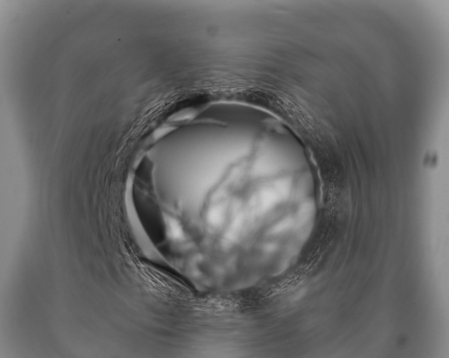 X0000090711153200707271125