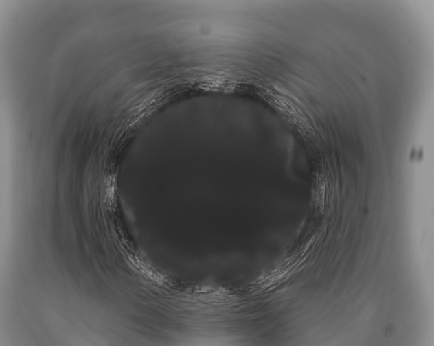 X0000090711154200707271125