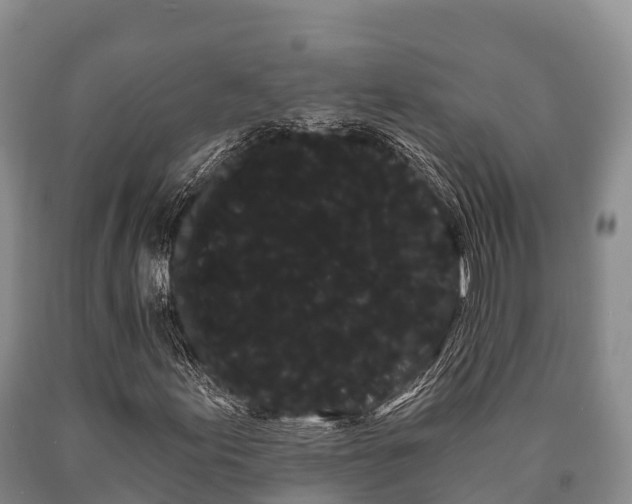 X0000090711155200707271125