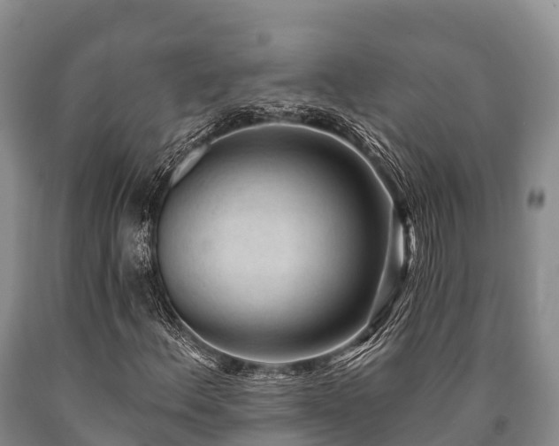 X0000090711156200707271125